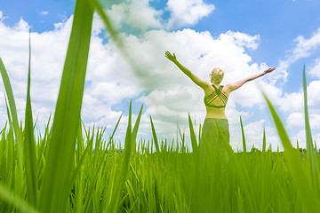 Image showing Relaxed healthy sporty woman, arms rised to the sky, enjoying pure nature at beautiful green rice fields on Bali.