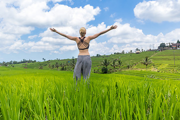 Image showing Relaxed healthy sporty woman, arms rised to the sky, enjoying pure nature at beautiful green rice fields on Bali.