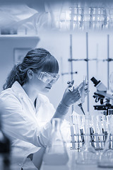 Image showing Young scientist pipetting in life science laboratory.