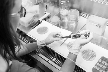 Image showing Life scientist researching in the laboratory.