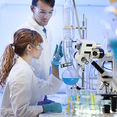 Image showing Young chemists researching in life science laboratory.