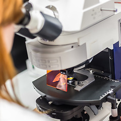 Image showing Helth care professional microscoping on hi-tec fluorescent microscope.