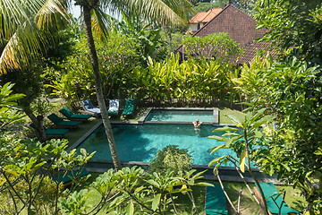 Image showing Young woman relaxing in outdoor swimming pool surrounded with lush tropical greenery of Ubud, Bali.