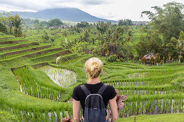 Image showing Caucasian female tourist wearing small backpack looking at beautiful green rice fields and terraces of Jatiluwih on Bali island