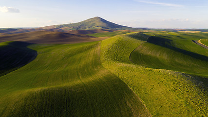 Image showing Long Shadows at Steptoe Butte Palouse Region Sunset