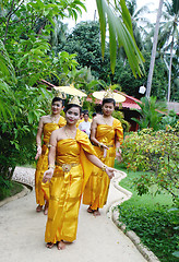 Image showing SAMUI - AUGUST 1: Traditional Thai dancers perform during a wedd