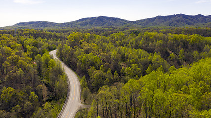 Image showing The Blue Ridge Parkway Cuts Through Dense Mountain Forest