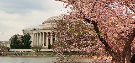 Image showing Jefferson Memorial and Washington Monument around The Tidal Basi