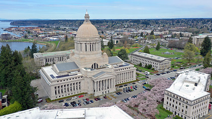 Image showing Aerial Perspective Over Spring Cherry Blossoms at the Washington