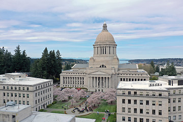 Image showing Spring Cherry Blossoms at the State Capital Building in Olympia 