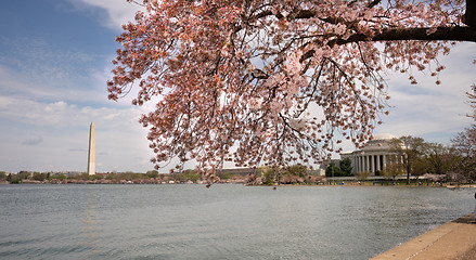 Image showing Jefferson Memorial and Washington Monument around The Tidal Basi