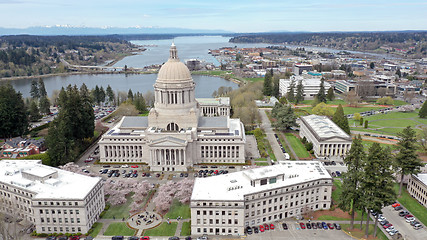 Image showing Spring Cherry Blossoms at the State Capital Building in Olympia 