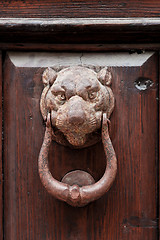 Image showing Ancient italian lion shaped door knocker.