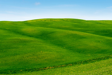 Image showing Beautiful spring minimalistic landscape with green hills in Tuscany