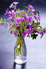 Image showing Wild violet flowers in glass bottle on black background. 