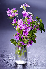 Image showing Wild violet flowers in glass bottle on wet black background.