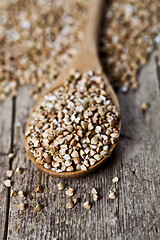 Image showing Organic green dry buckwheat seads in wooden spoon closeup on rus