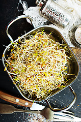 Image showing Raw sprouts