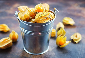 Image showing Physalis fruit