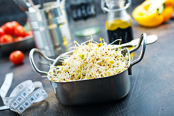 Image showing Raw sprouts