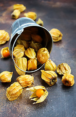 Image showing Physalis fruit