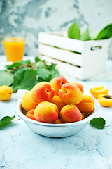 Image showing apricots