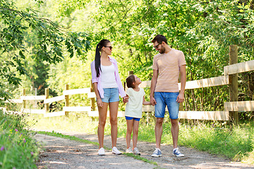 Image showing happy family walking in summer park