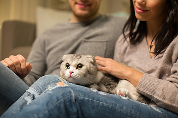 Image showing close up of couple with scottish fold cat