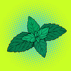 Image showing mint leaf, aromatic plant