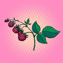 Image showing raspberry twig. wild berry