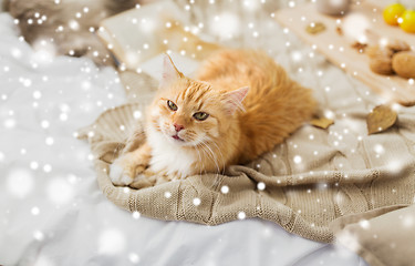 Image showing red tabby cat lying on blanket at home over snow