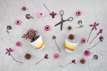 Image showing Pink flowers and flowerpots on concrete background