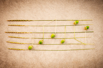 Image showing Music notes made of acorns and grass on retro background