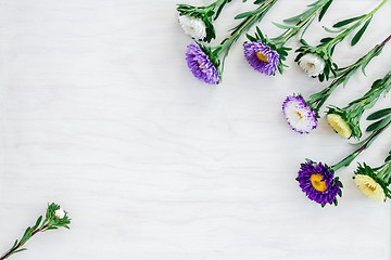 Image showing White and purple asters on white wooden background