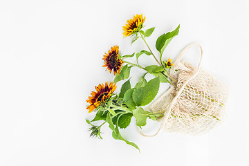 Image showing Sunflowers in a mesh bag on white background