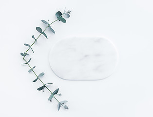 Image showing Eucalyptus branches and blank marble plate