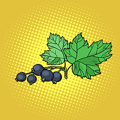 Image showing sprig of black currant