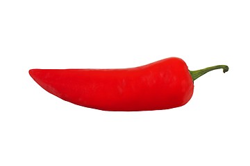 Image showing Chili pepper on white