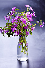 Image showing Wild violet flowers in glass bottle on black background. 