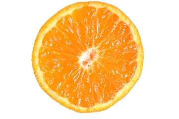 Image showing Mandarin