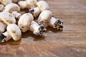 Image showing Fresh raw organic champignons heap on a wooden table background.