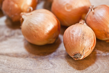 Image showing Fresh organic onions heap closeup on rustic wooden background. 