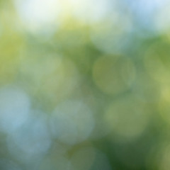 Image showing Blurred green background with blue and green bokeh circles. Abst