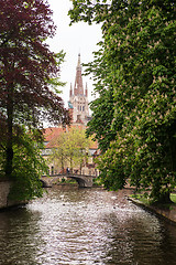 Image showing Swans on the lake of love in Bruges