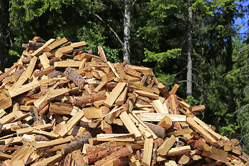 Image showing Heap of Firewood at Edge of Forest