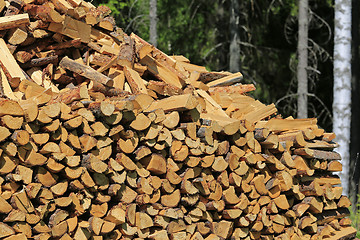 Image showing Stack of Firewood in Summer Forest