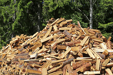 Image showing Chopped Firewood at Edge of Forest