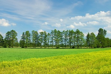 Image showing Spring Landscape