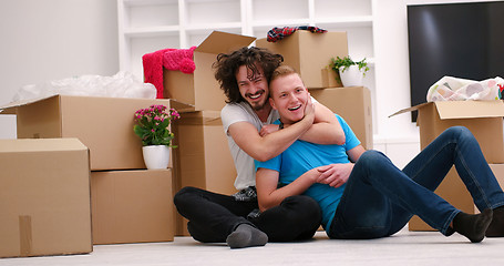 Image showing young  gay couple moving  in new house