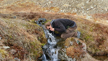 Image showing Drinking from a stream in Iceland